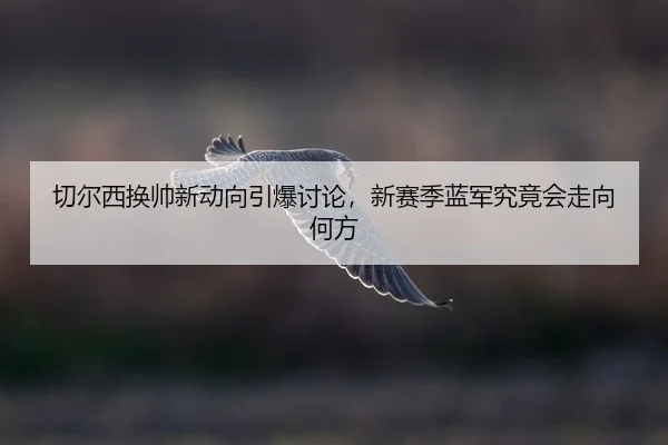 qie-er-xi-huan-shuai-xin-dong-xiang-yin-bao-tao-lun-xin-sai-ji-lan-jun-jiu-jing-hui-zou-xiang-he-fang-2-744.jpg
