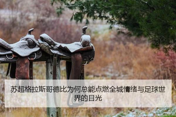 su-chao-ge-la-si-ge-de-bi-wei-he-zong-neng-dian-ran-quan-cheng-qing-xu-yu-zu-qiu-shi-jie-de-mu-guang-2-556.jpg